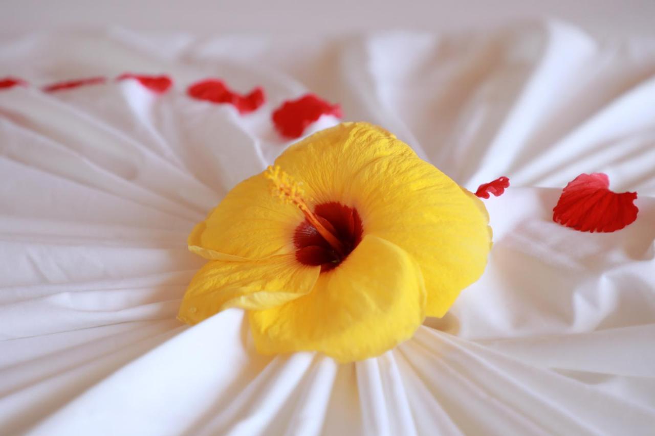 Amazing View Guest House Thoddoo Bagian luar foto